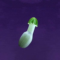 Yeti Geschlecht GIF by YK Animation Studio