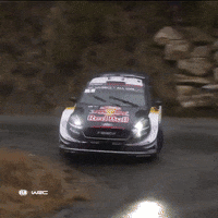Sport Fail GIF by FIA World Rally Championship