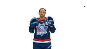 Eishockey Sticker by EC Kassel Huskies