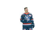 Eishockey Sticker by EC Kassel Huskies