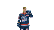 Eishockey Sticker by EC Kassel Huskies