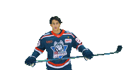 Eishockey Sticker by EC Kassel Huskies