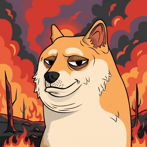 Burning Shiba Inu GIF by Doge Pound