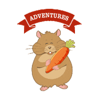 Adventures Sticker by Little One