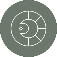 Life Stars Sticker by The Good Hause