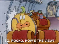 rockos modern life nicksplat GIF