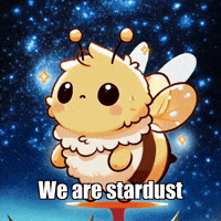 Flower Stars GIF by Beelightened