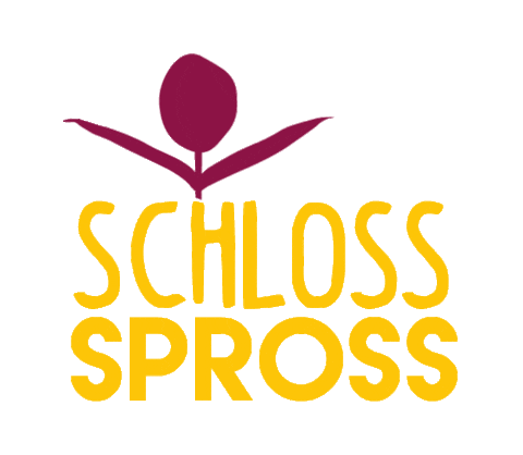 schlossspross giphyupload party animation logo Sticker