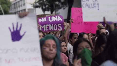 marianalimon giphygifmaker GIF