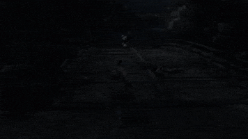 from software sekiro GIF