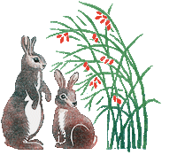 Nussknacker Schwan Sticker by BrandstaetterVerlag