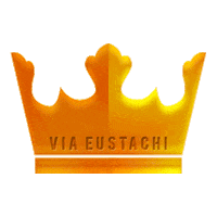 Crown Corona Sticker by emiliolonardo_design