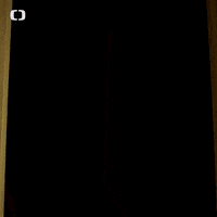 GIF by Česká televize