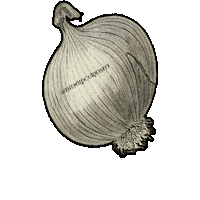 Black And White Cooking Sticker by The Wild Curiosity