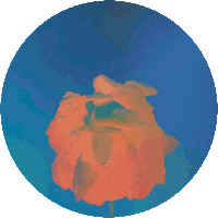 Capitol Records Sticker by Calum Scott