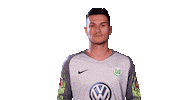Pavao Pervan Football Sticker by VfL Wolfsburg