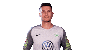 Pavao Pervan Football Sticker by VfL Wolfsburg