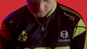 London Esports GIF by BLAST