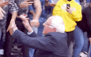 Rashida Tlaib Bernie 2020 GIF by Bernie Sanders