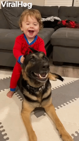 Baby Sits and Squeals on Shepherd Pup