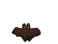 Halloween Bat Sticker