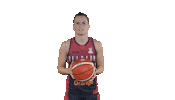 cats women Sticker by FIBA