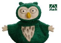 Cora Lol Sticker by Morar Construtora