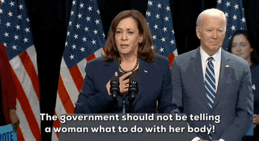 Kamala Harris Veep GIF by GIPHY News