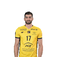 Volleyball Amin Sticker by PGE GiEK Skra Bełchatów