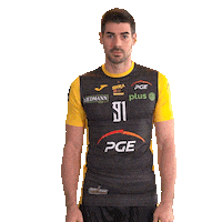 Belchatow Sticker by PGE Skra Bełchatów