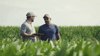 MCSeedcorn seedcorn masterschoice GIF