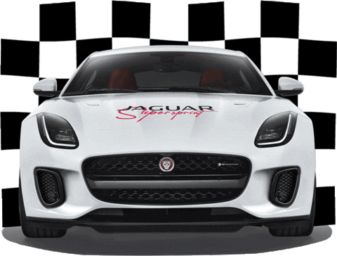Australian Grand Prix Jaguar GIF by JaguarAustralia