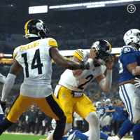 Sport Celebration GIF by Pittsburgh Steelers