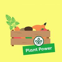 Power Health GIF by AOK Niedersachsen