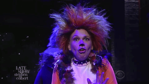 stephen colbert cats GIF by The Late Show With Stephen Colbert