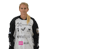 Floorball Salibandy Sticker by F-liiga