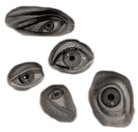 Eyes Look Sticker by Colin Raff