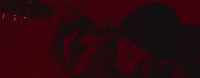 cant buy happiness GIF by Tash Sultana
