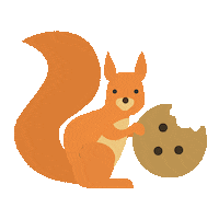 Caravanya nature orange chocolate cookie Sticker