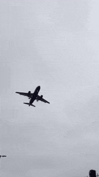 Flying Lets Go GIF by Vinnie Camilleri