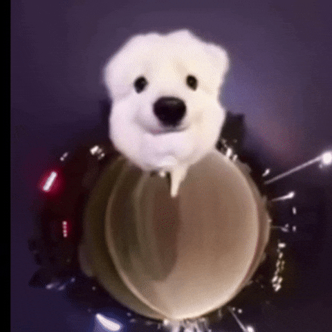 Cute Dog GIF by Respective