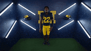 Go Blue College Football GIF by Michigan Athletics