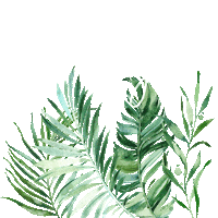 Travel Leaves Sticker by Reisen in Style