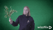 Wizzflix_ hot green good job working GIF