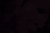 Dollhouse GIF by Shauna Brooks