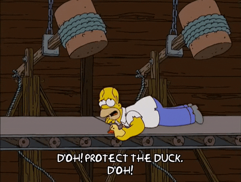 homer simpson GIF