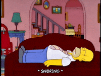 Episode 17 Sleeping GIF by The Simpsons