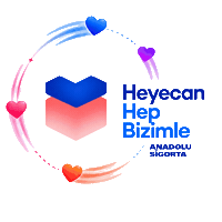 Evp Heyecan Sticker by Anadolu Sigorta