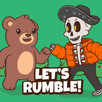 Lets Go Fight GIF by BEARISH