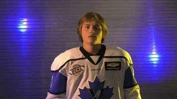 pentictonvees celebration goal hockey hockey stick GIF